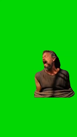 Odysseus Crying green screen