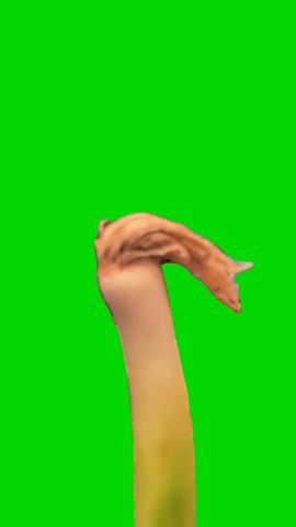 Onion Haaland Walk green screen