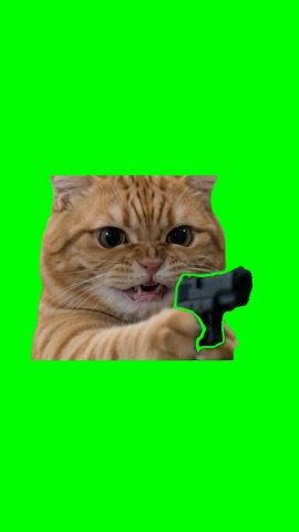Orange Cat Points Gun green screen