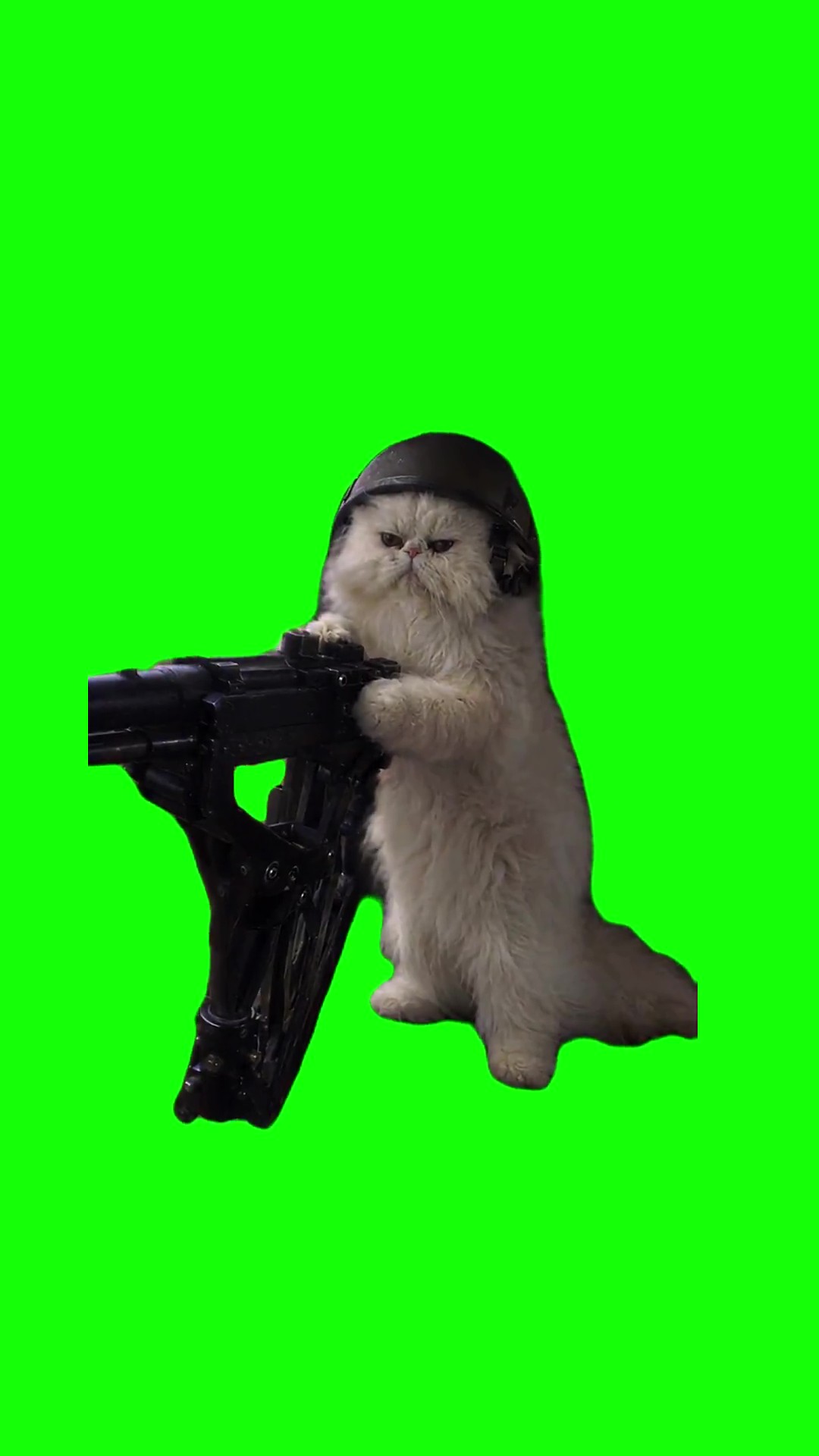 Oscar shooting 50 cal 