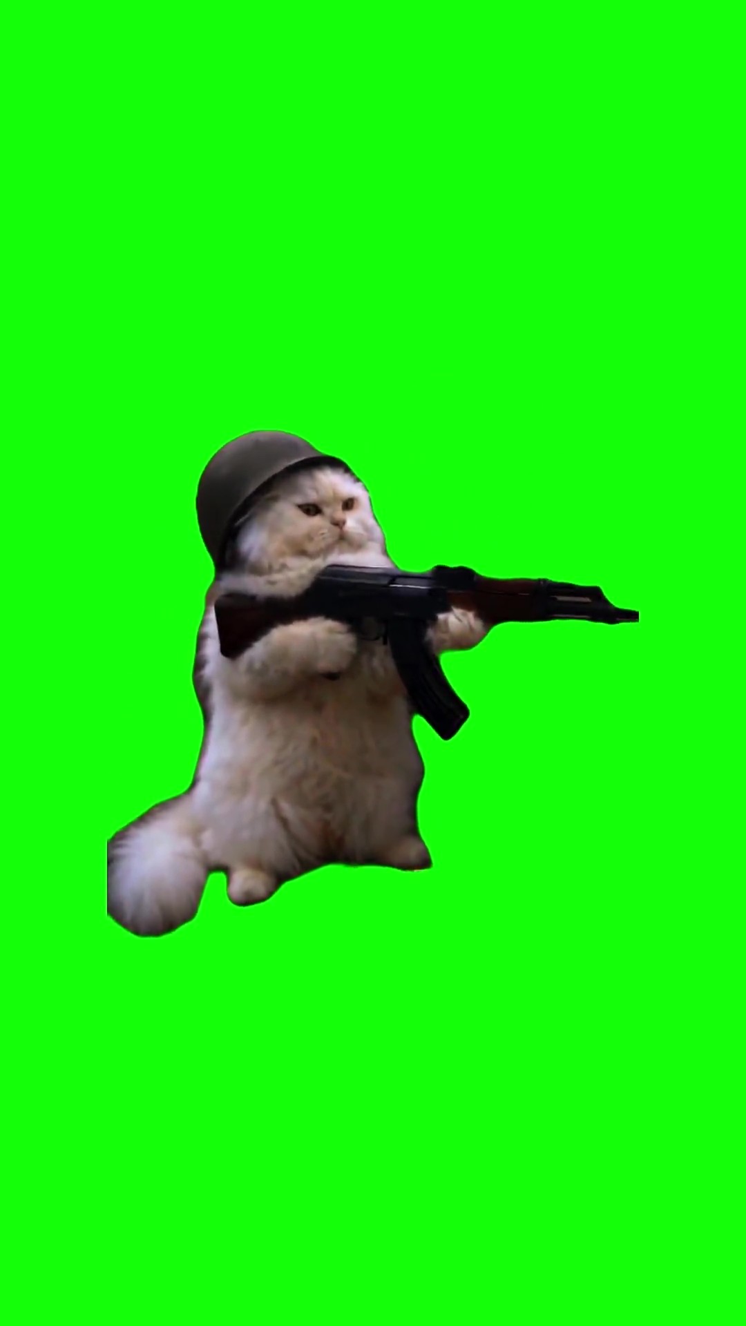 Oscar shoots ak