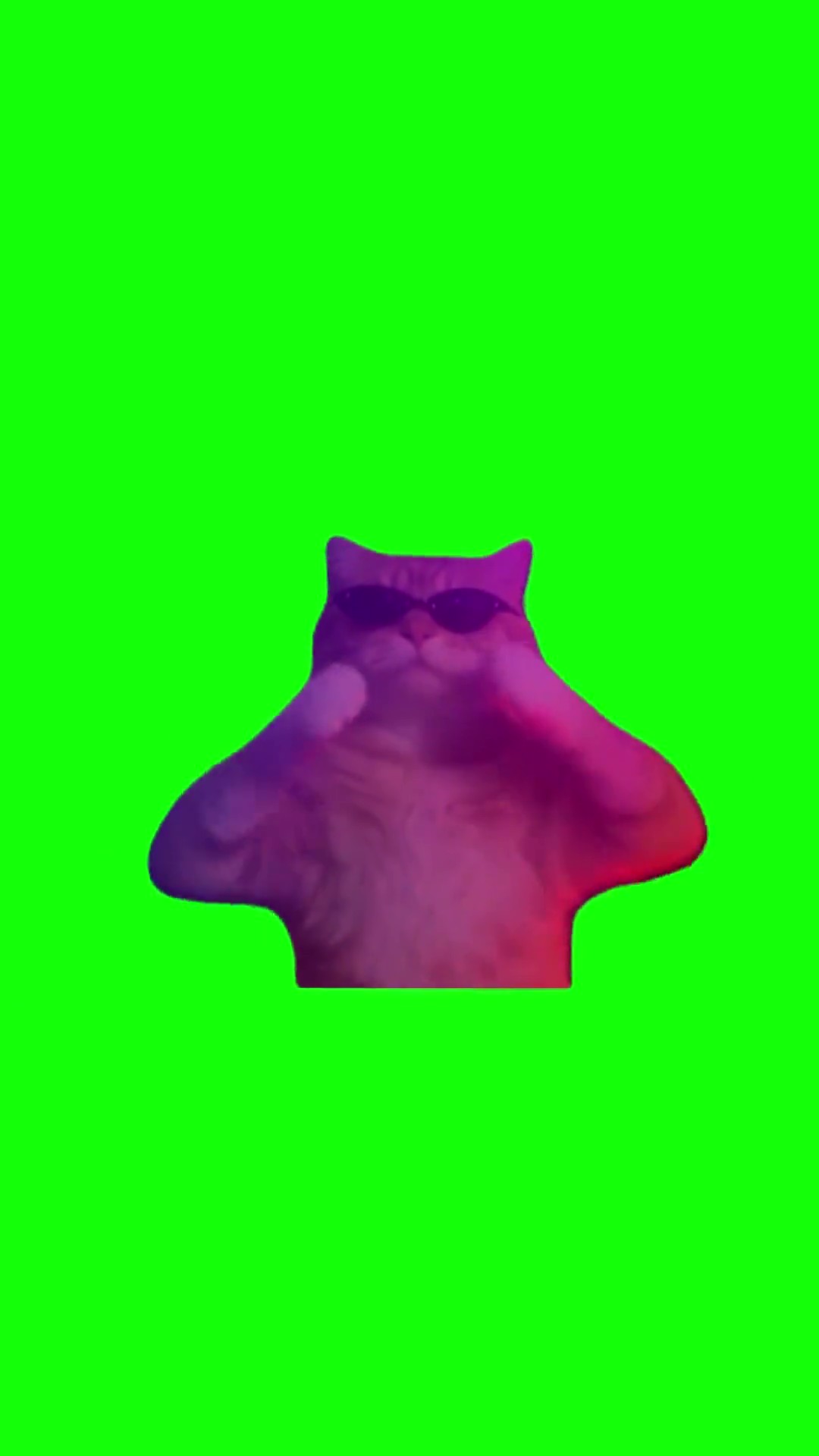 Party Cat Goes Crazy green screen