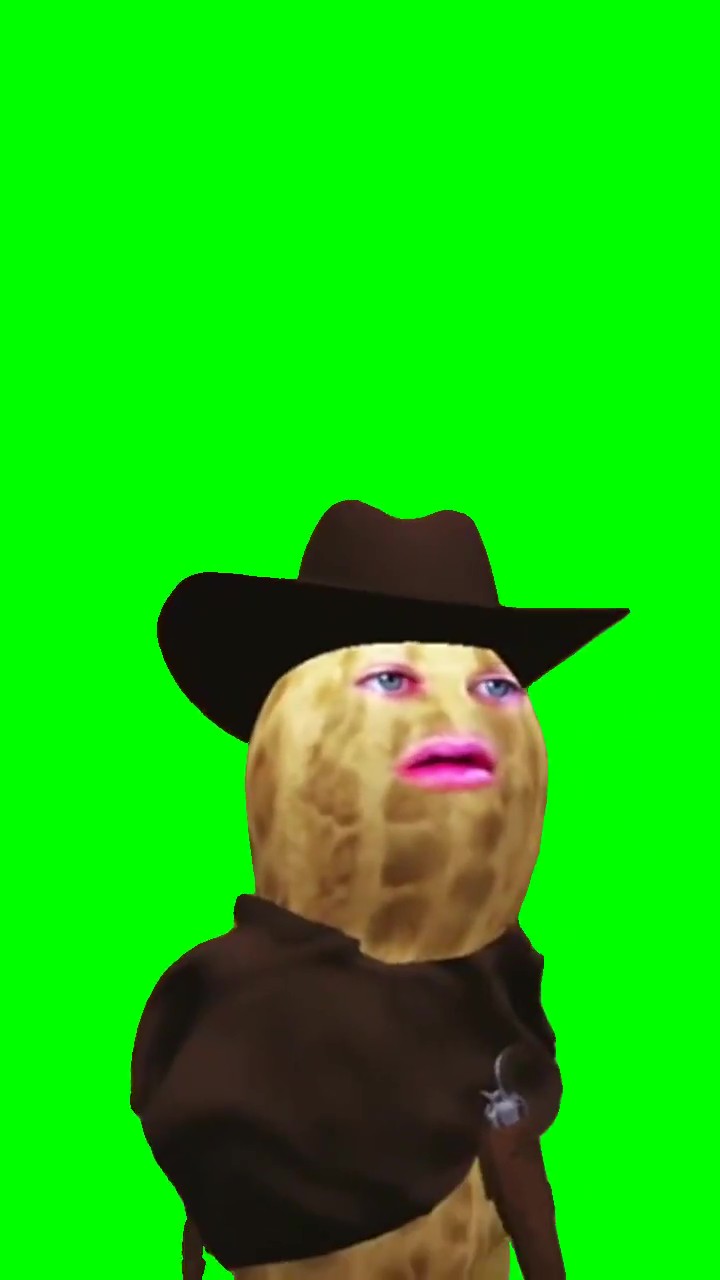 Peanut in disbelief green screen