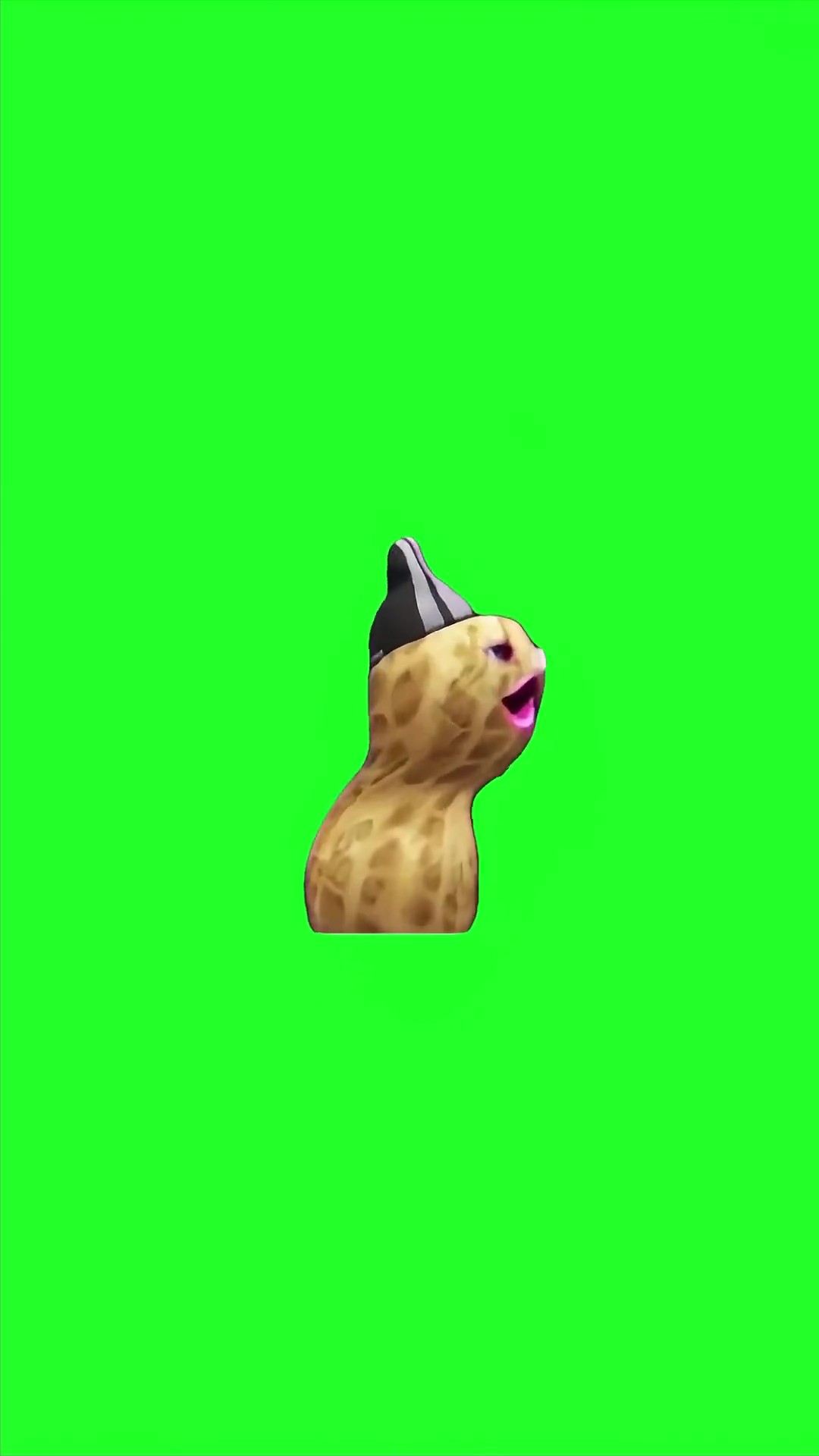 Peanut vibing to king von green screen