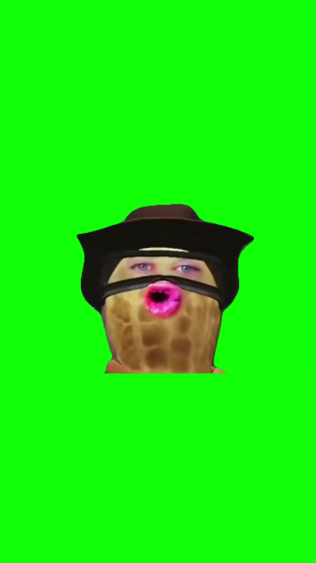 Peanut we are so back green screen