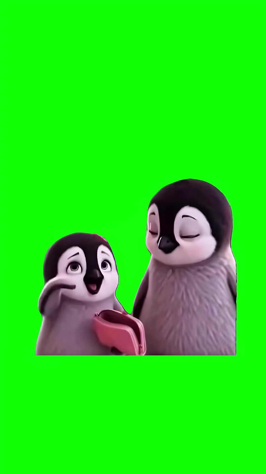 Penguin Explaining  green screen