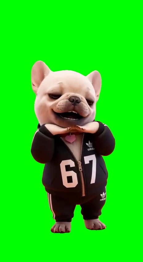 Pibble 67 green screen