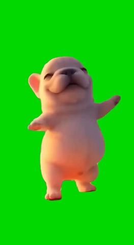 Pibble Dancing green screen