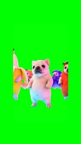 Pibble party green screen
