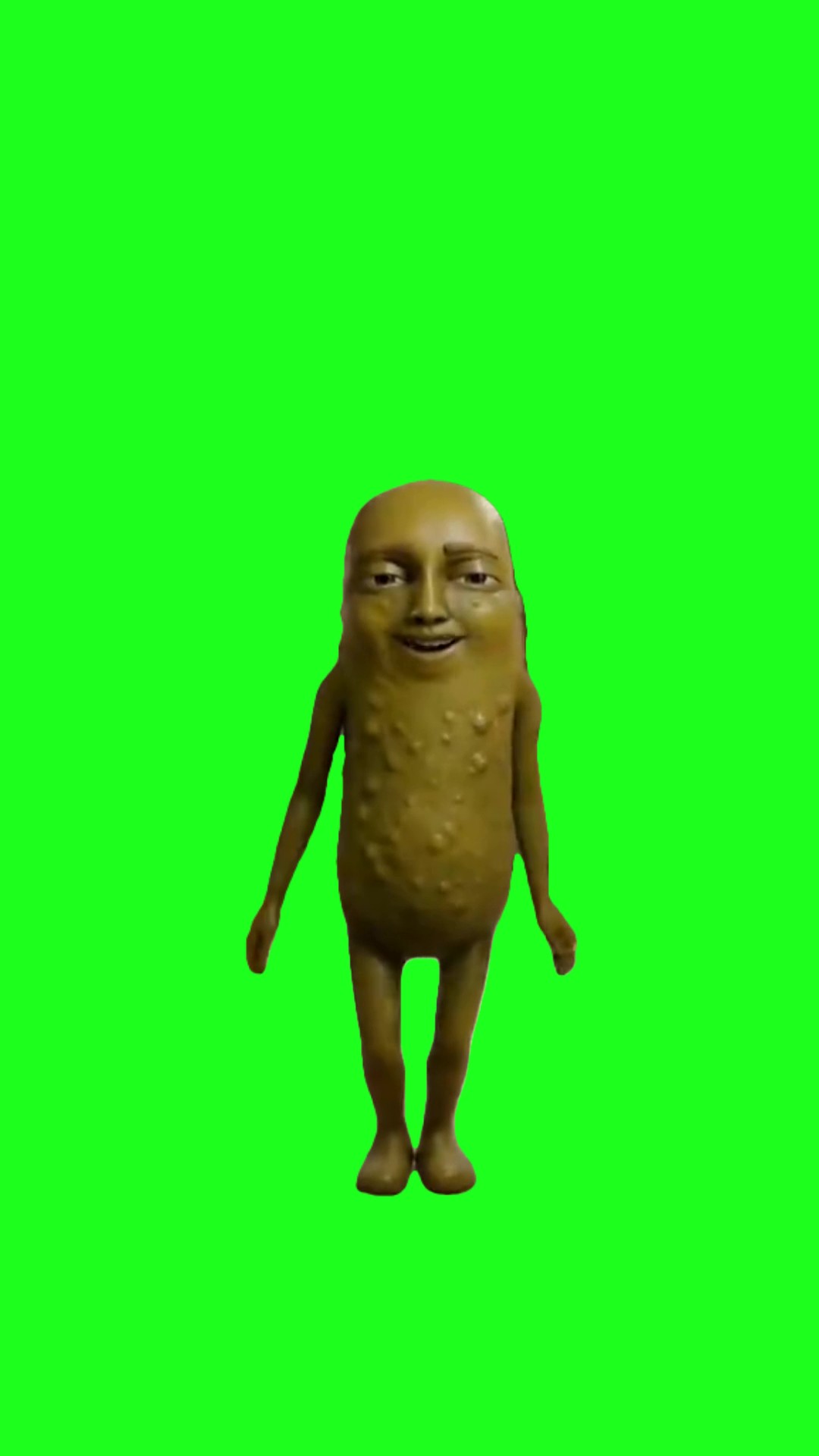 Pickle Dancing green screen
