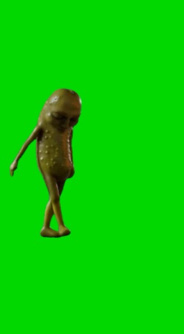 Pickle Tung Dont Hide green screen