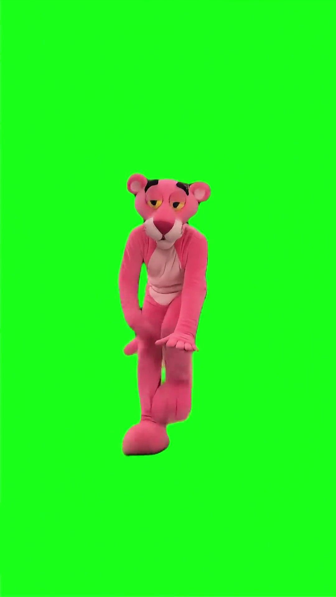 Pink Panther Dancing green screen