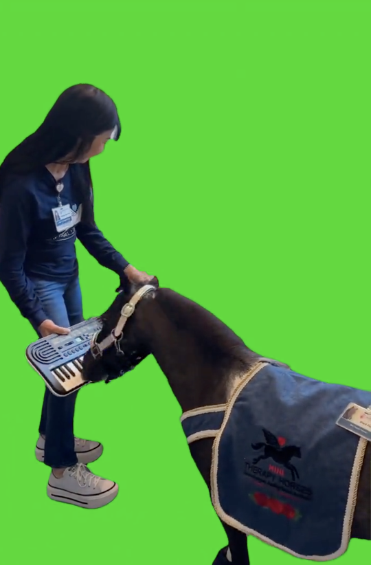 Pony playing Piano