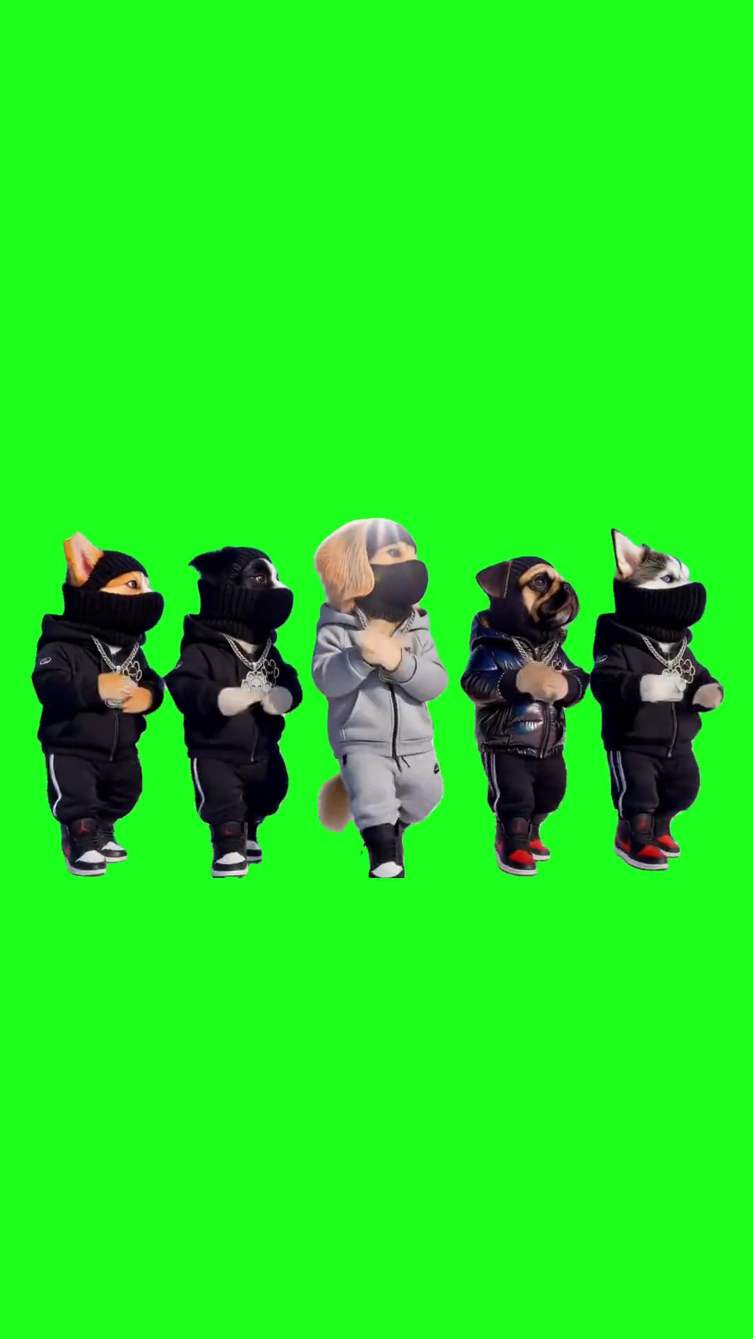 Pop That  Thanggggg green screen