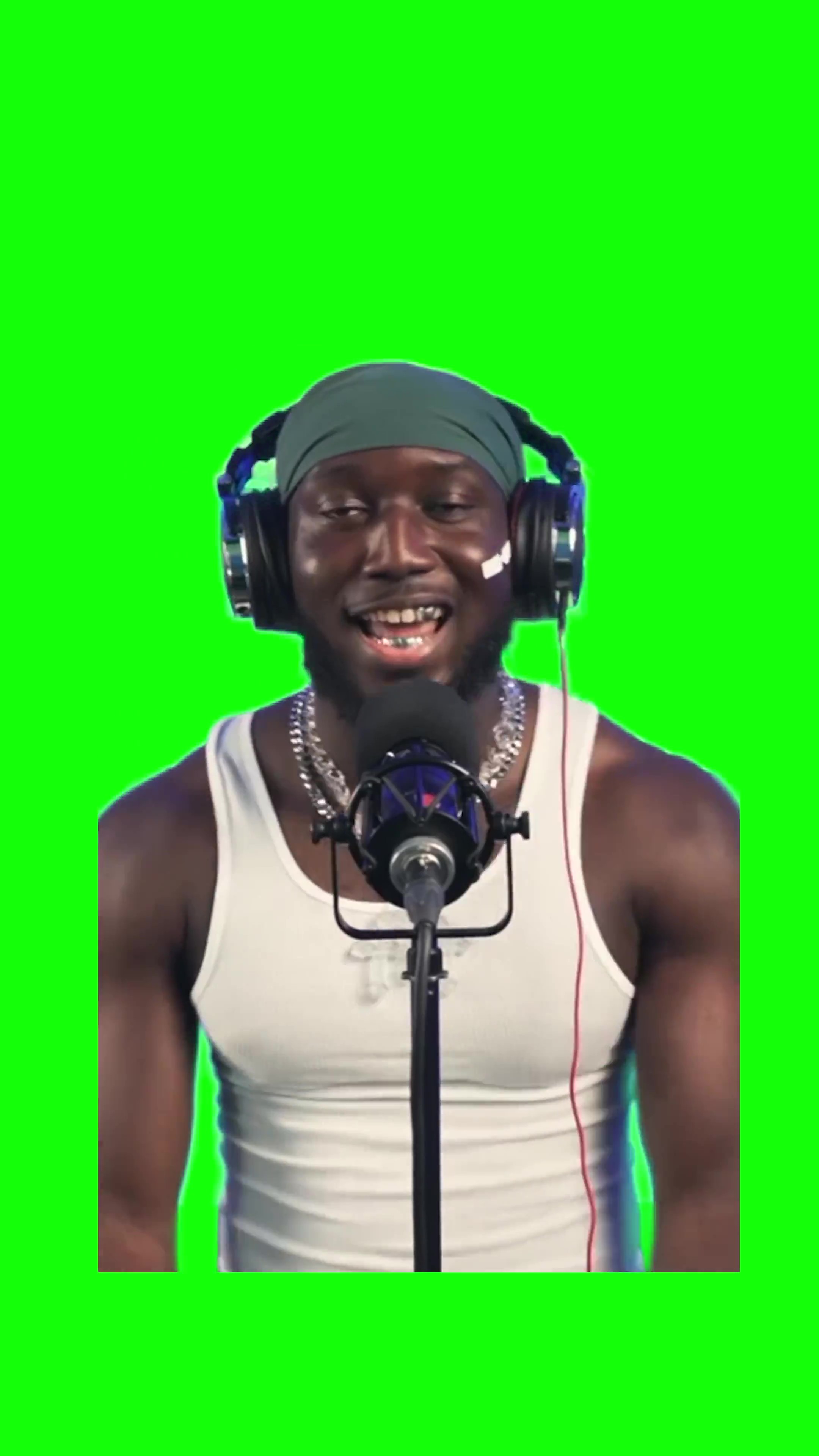 Print of egypt I dont want you green screen