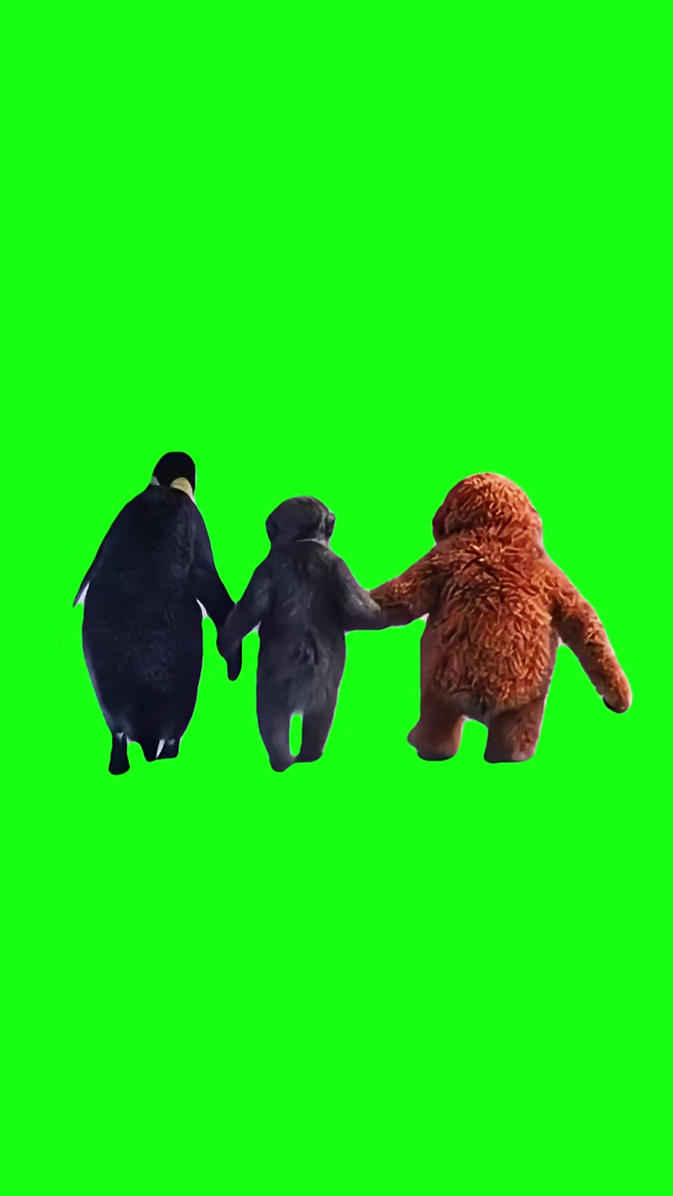 Punch & Penguin Gone to the Mountains green screen