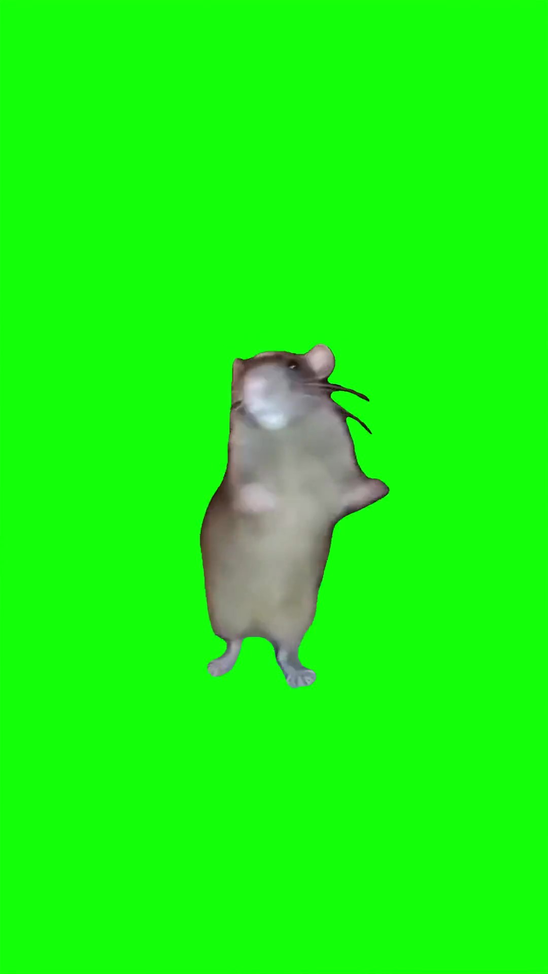 Ratchata dance green screen