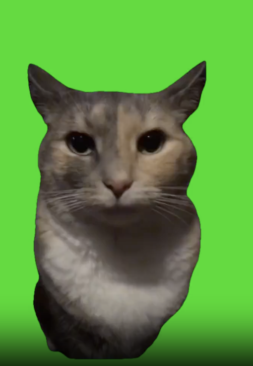 Realizing cat green screen