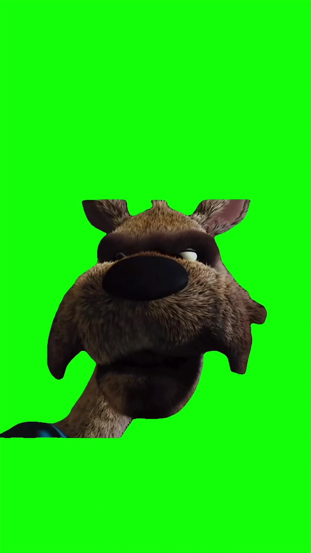 Redhood Stare down green screen