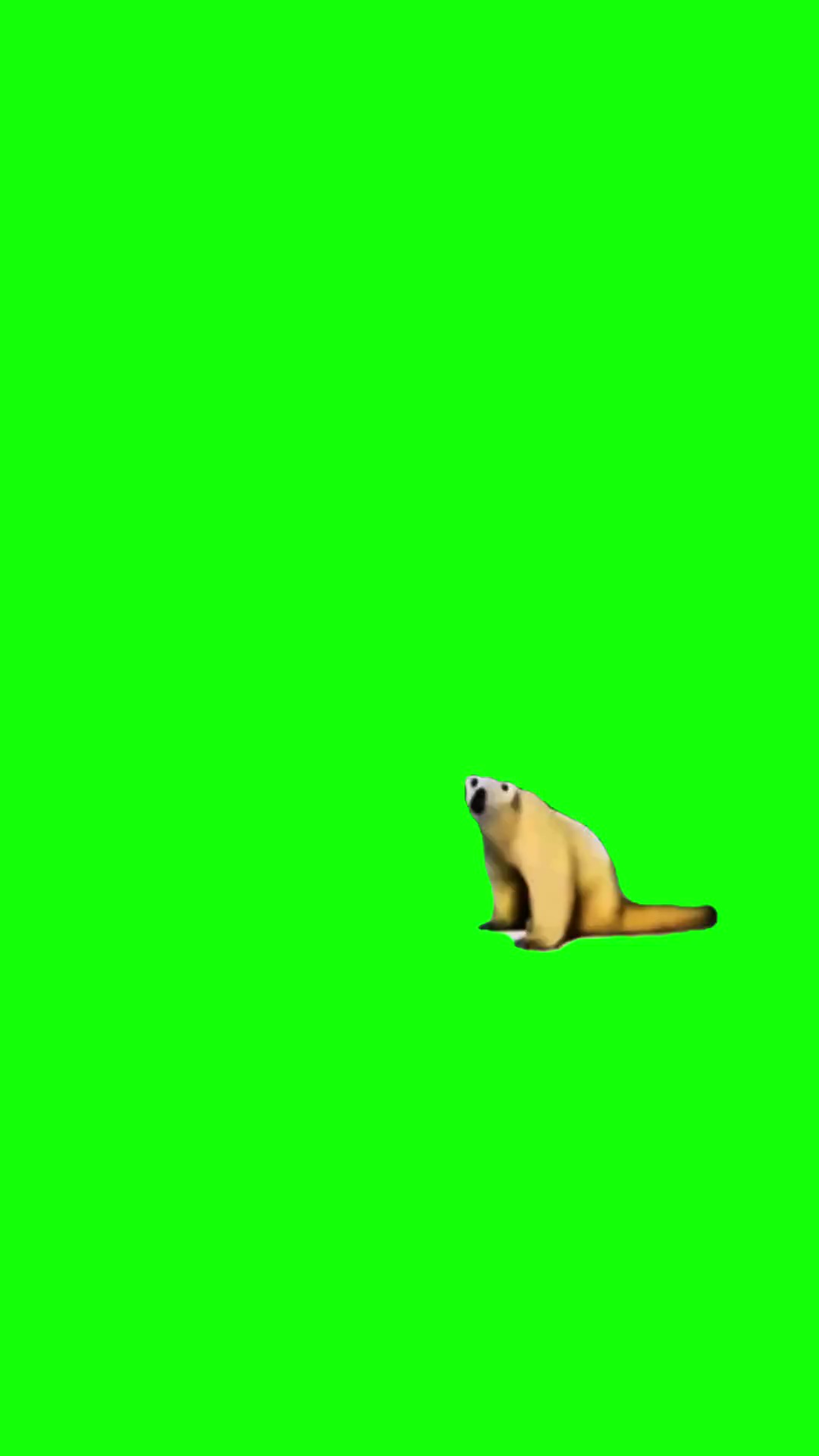 Remember November 2026 green screen