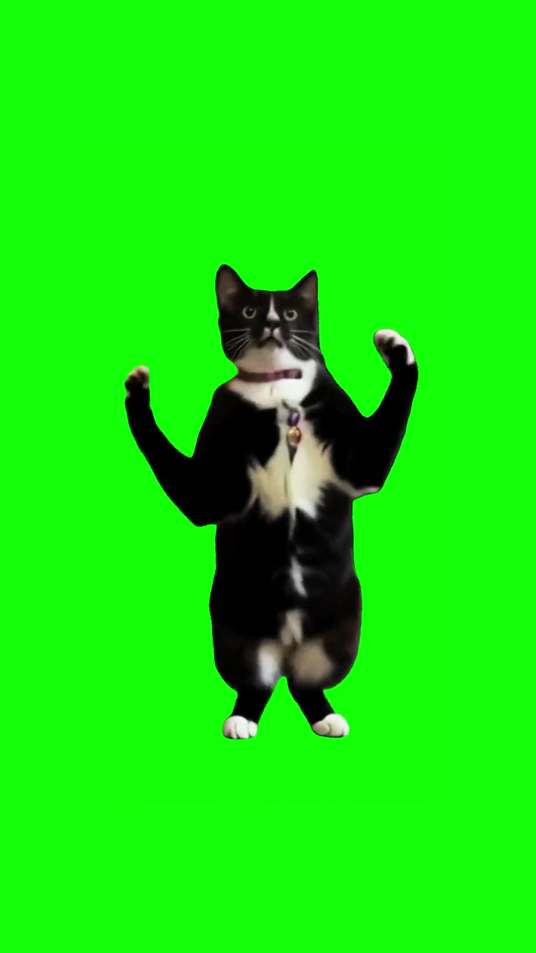 Right thur car green screen