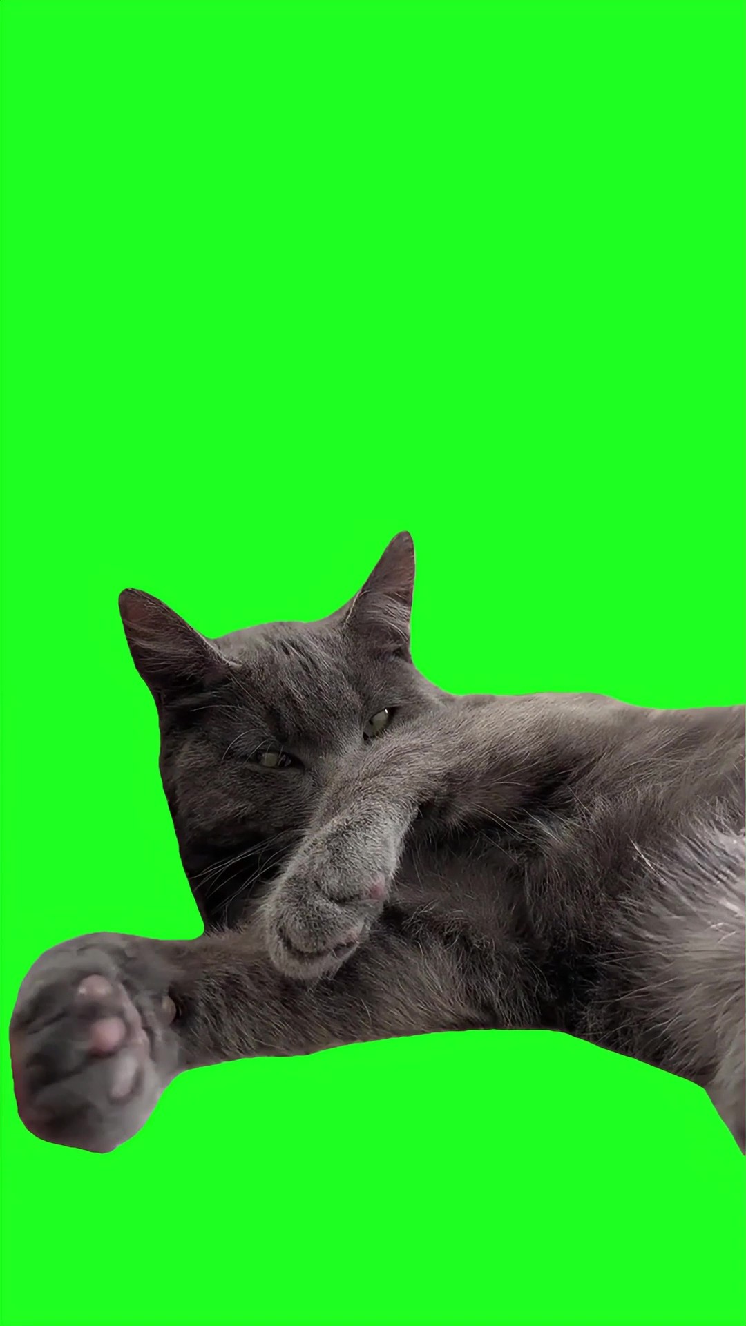SCUBBAAAA green screen