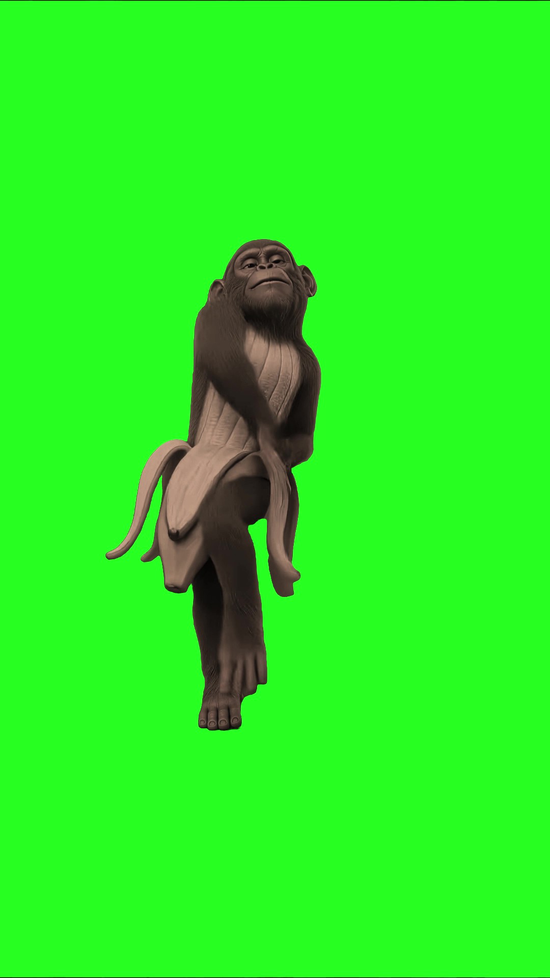 Sahur’s friend banana monkey green screen