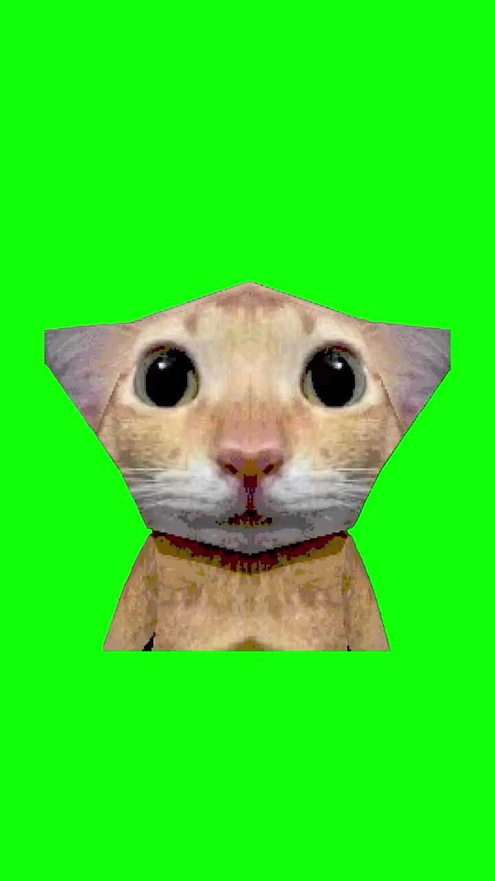 Screaming Cat