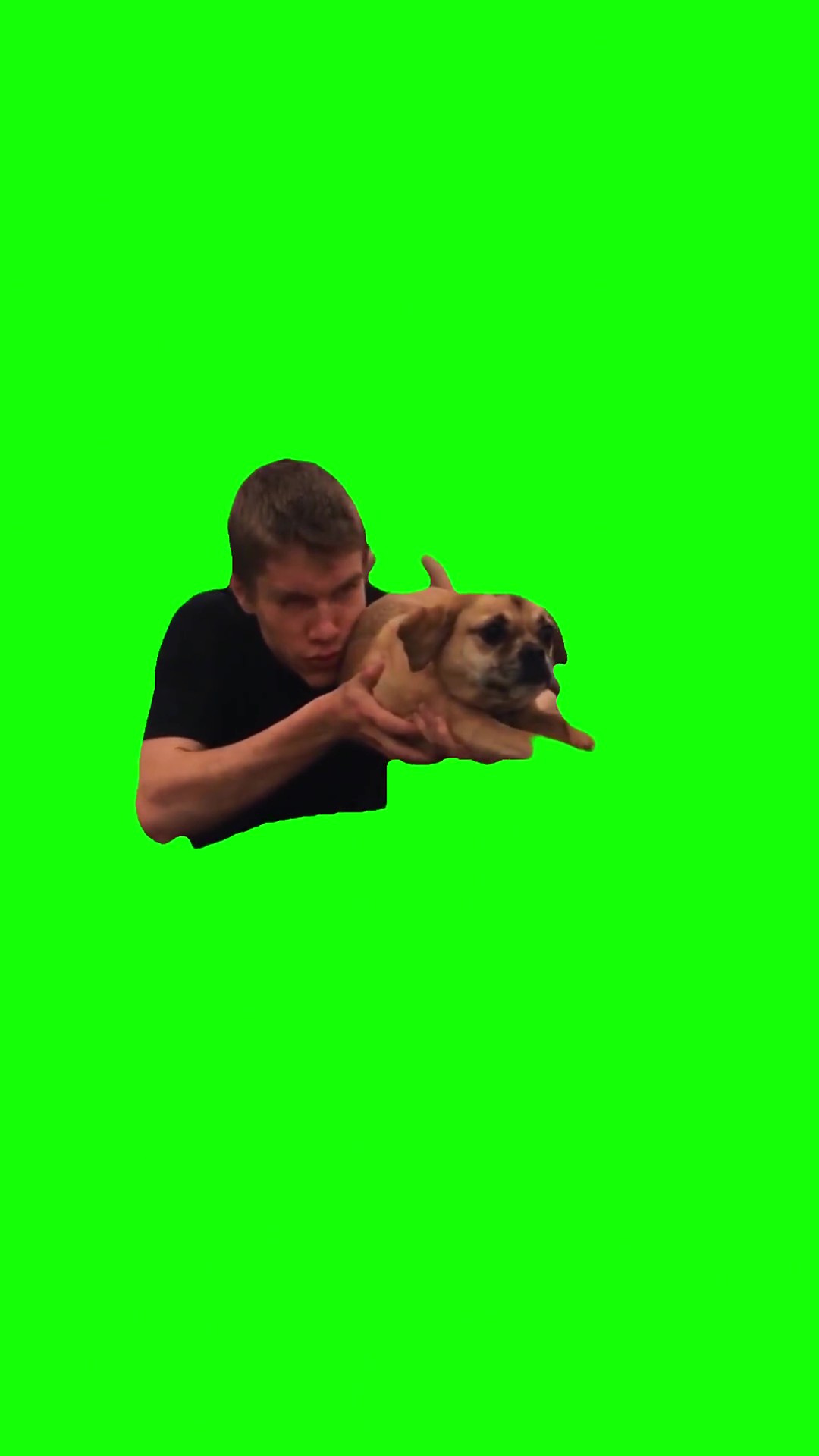 Shooting ak dog green screen