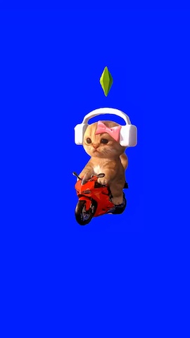 Sims Cat On A Bike green screen