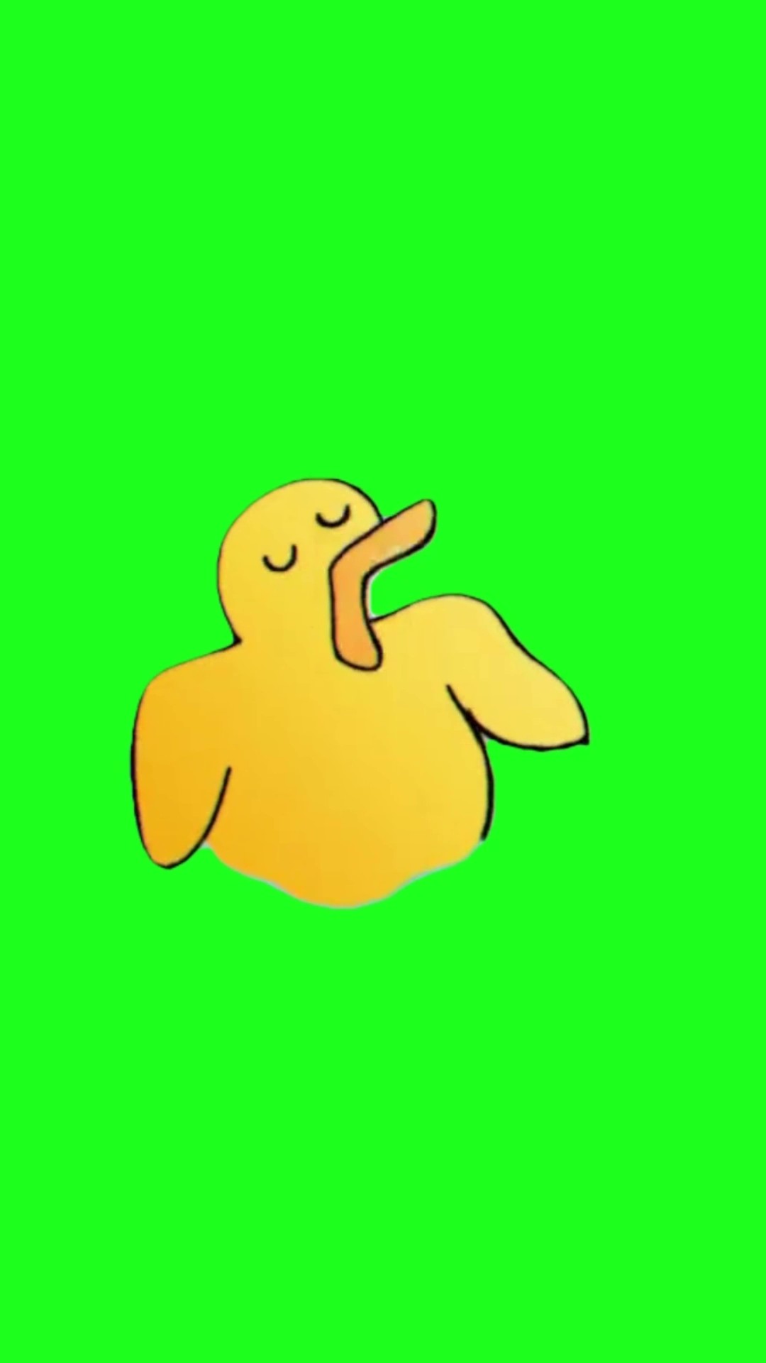 Singing Duck green screen