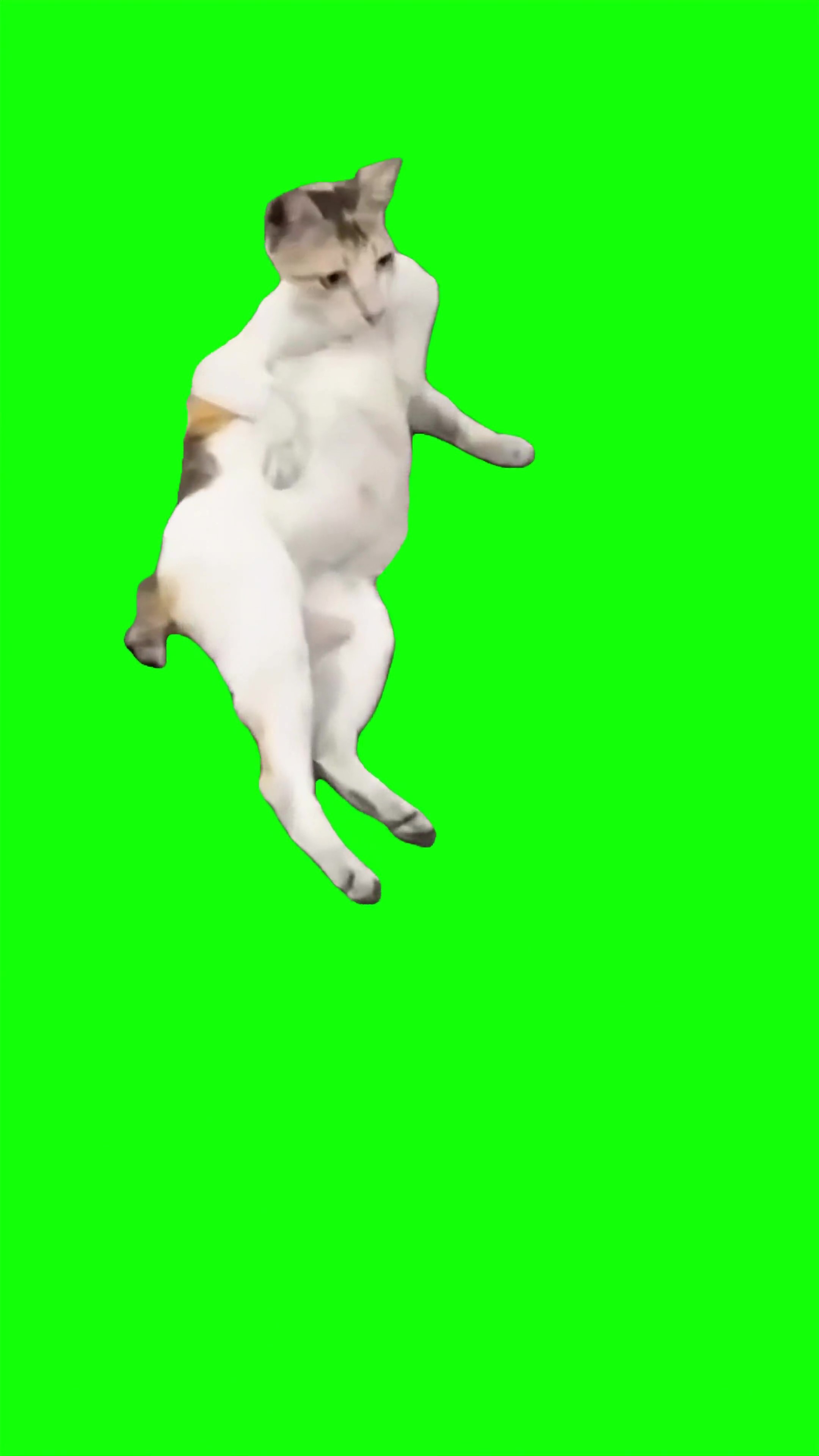 Slay queeen green screen