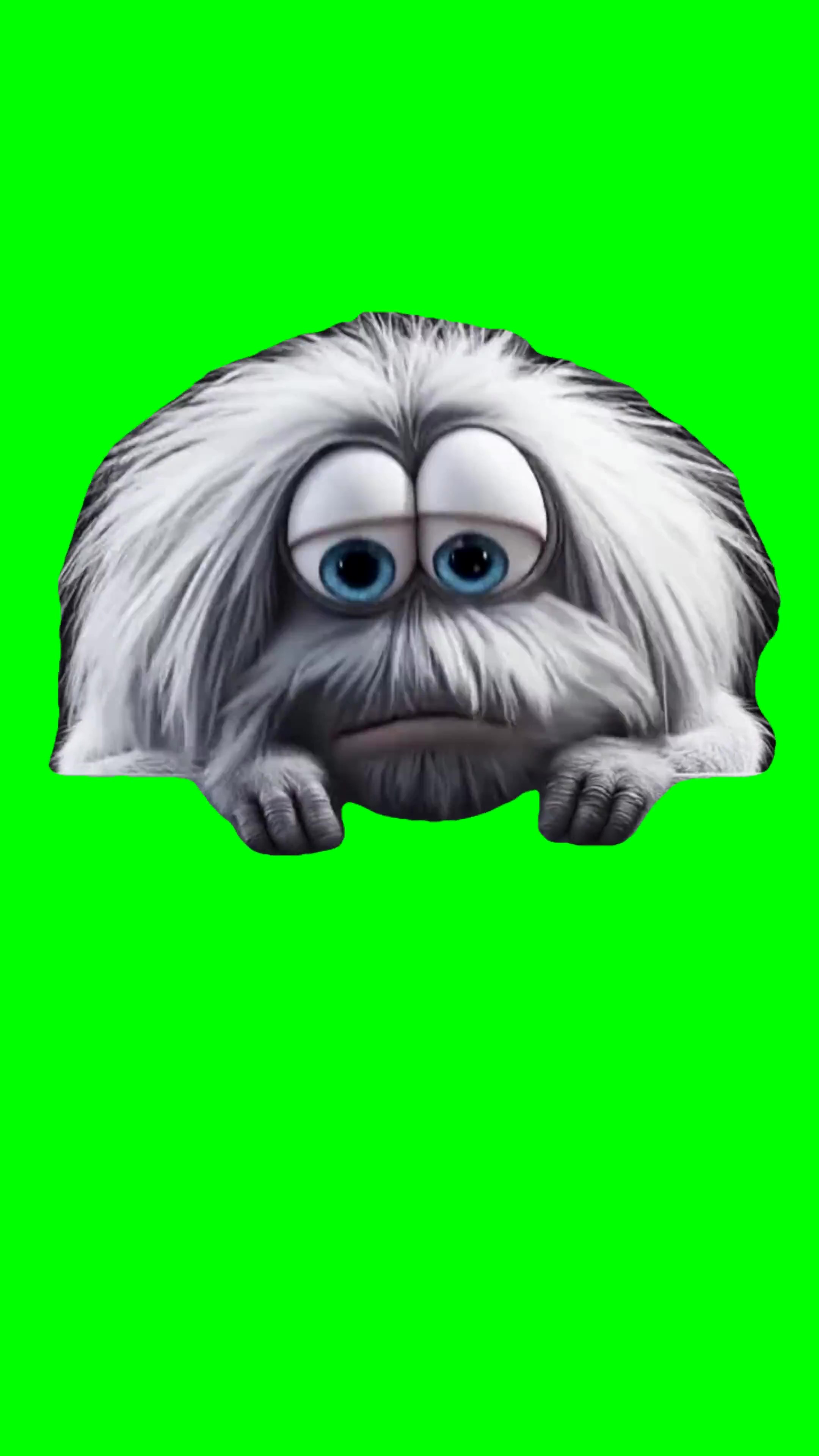 Sleepy fluffy green screen