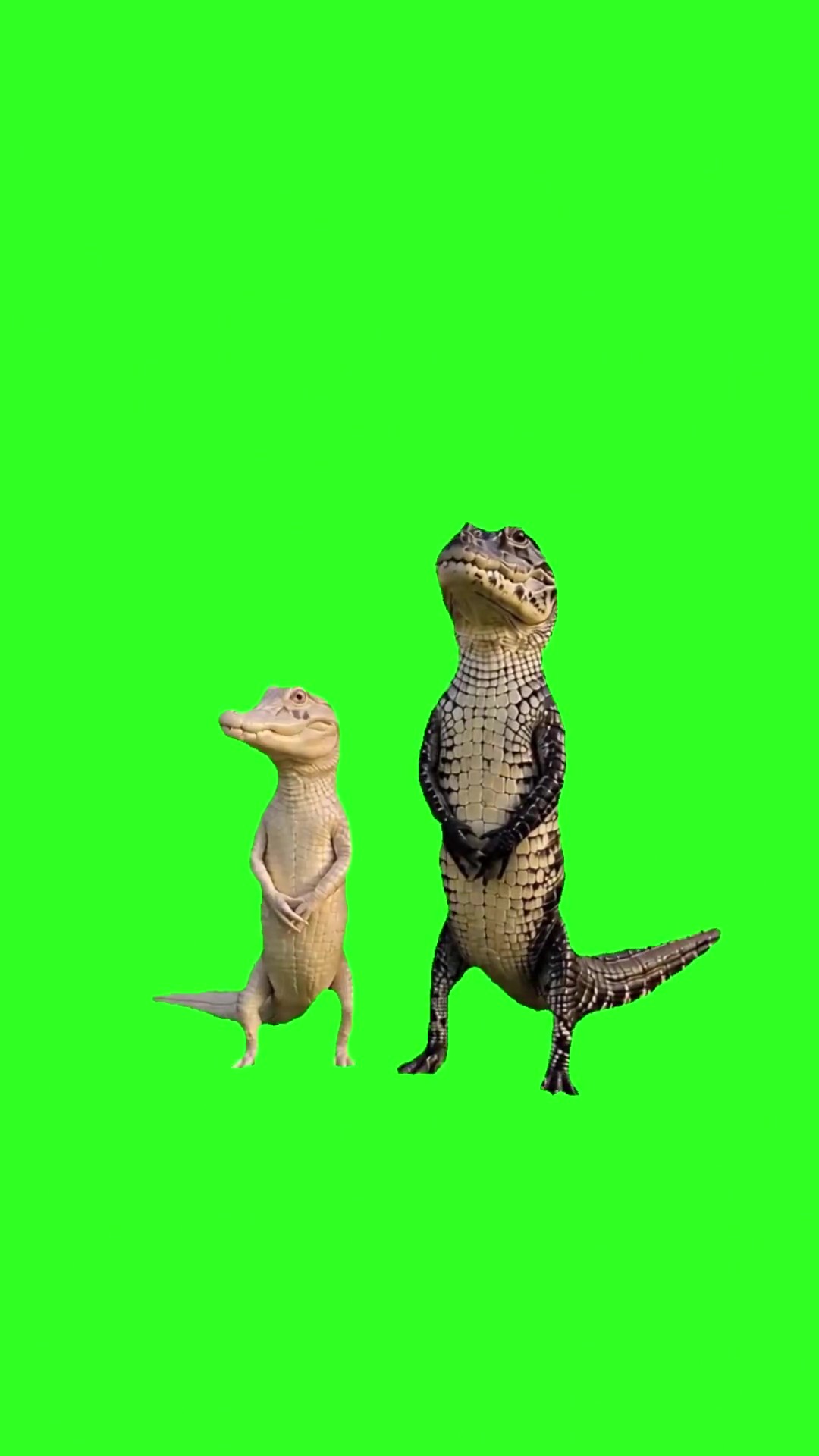 Smooth Criminal Dance  green screen
