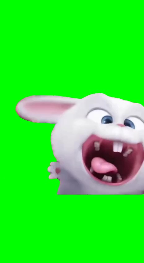 Snowball laughing green screen