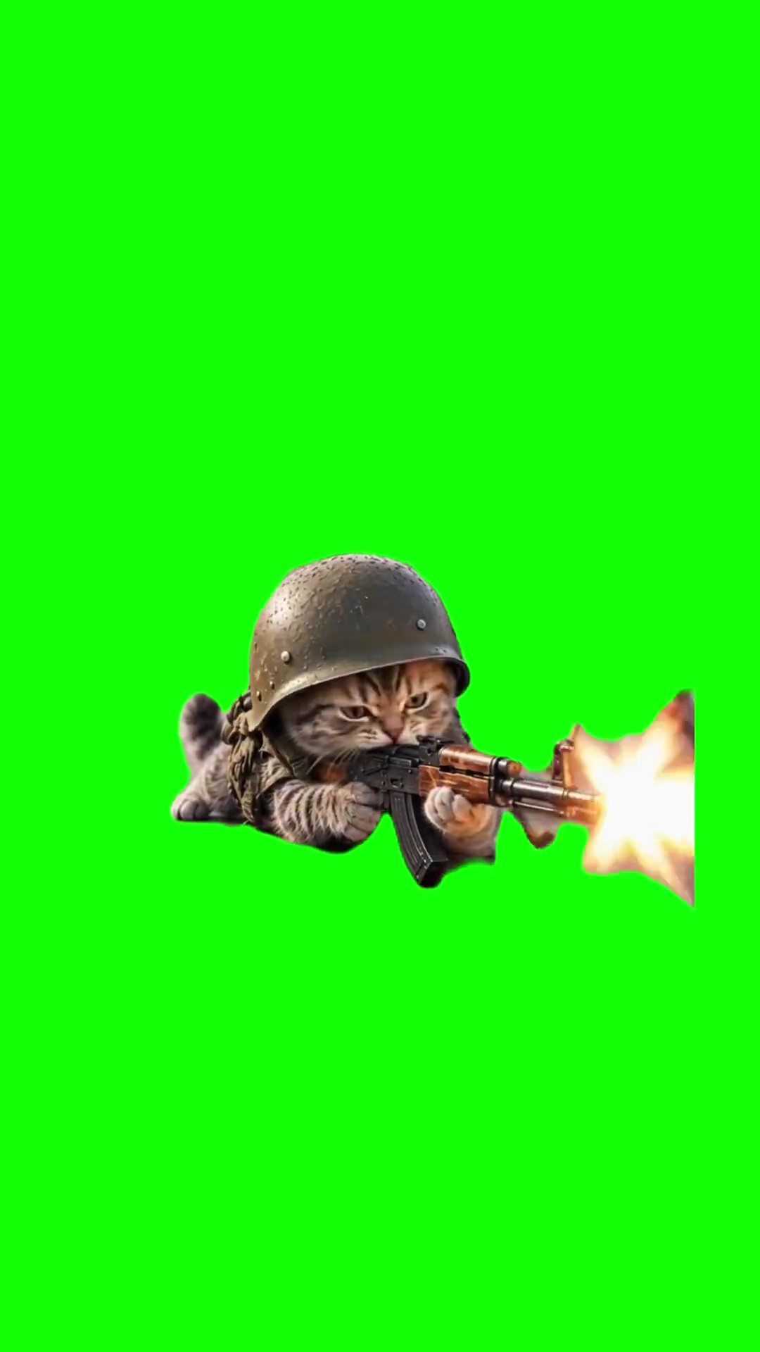 Soldier Cat Firing AK47