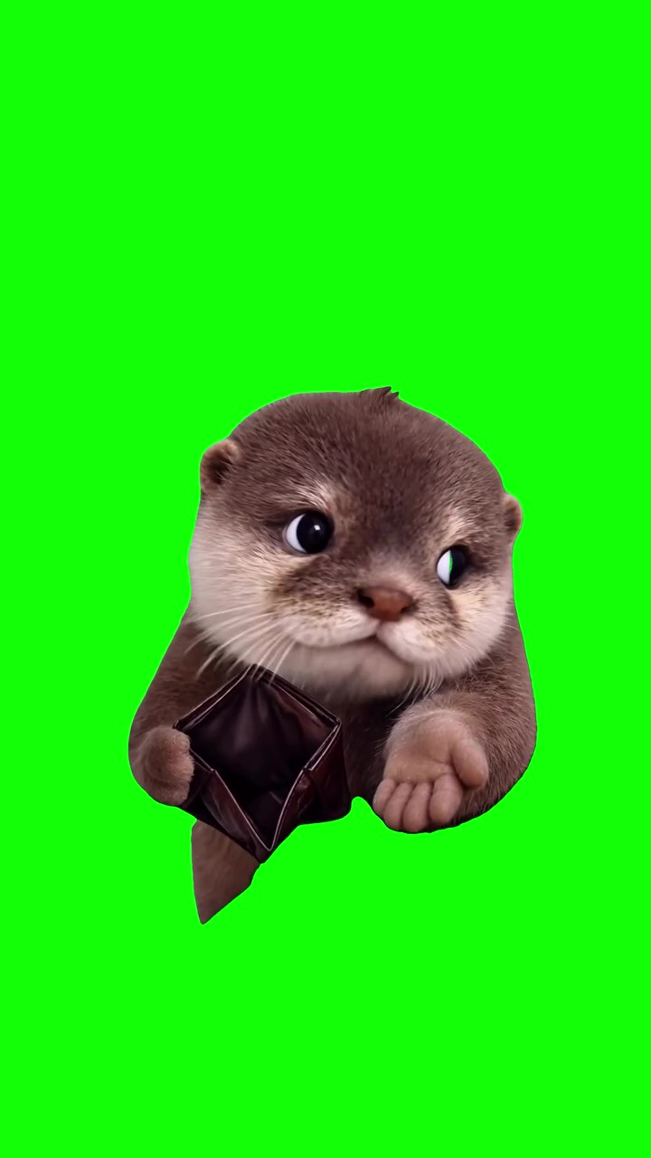 Spare Change  green screen