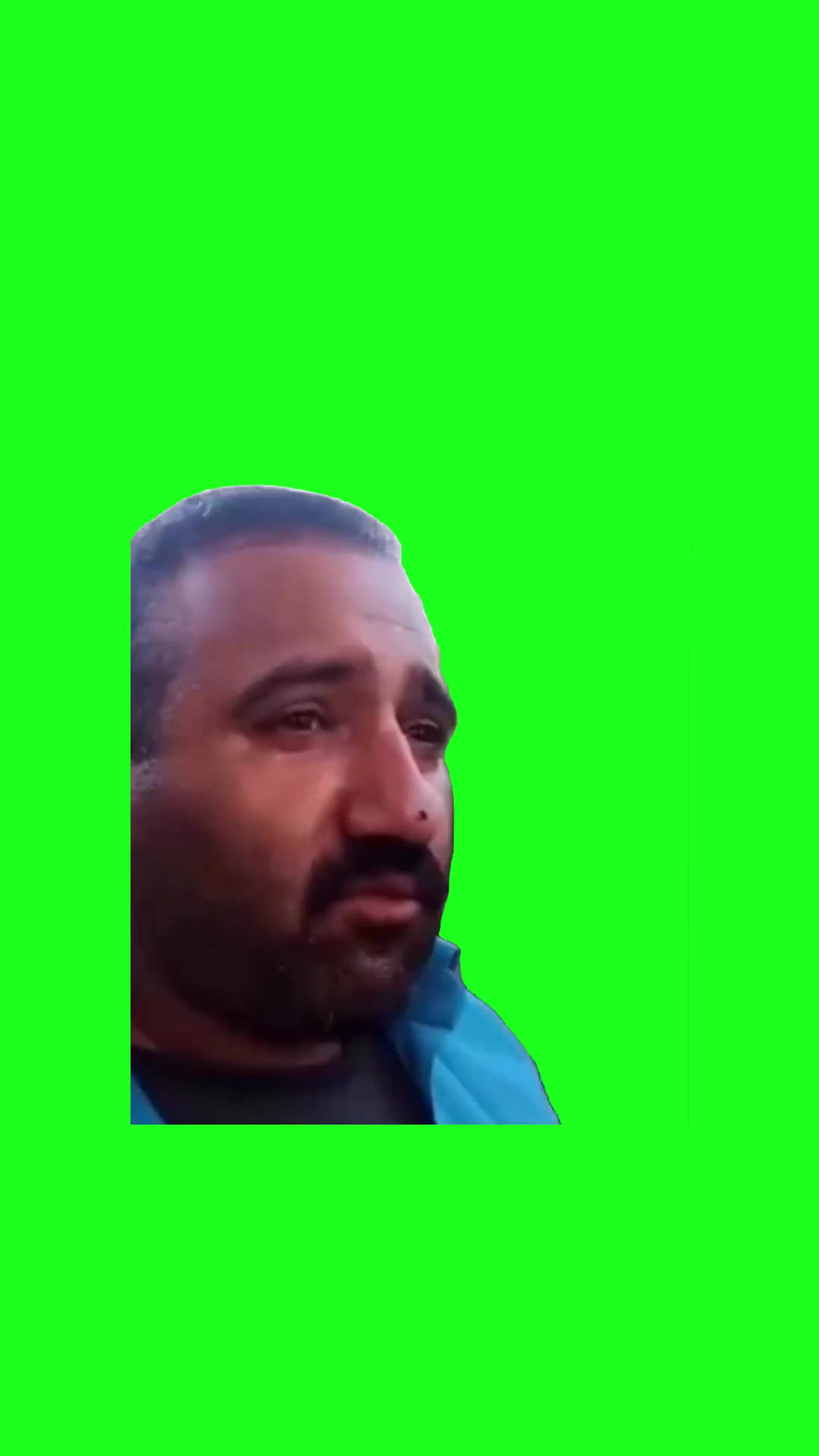 Speaking gibberish green screen