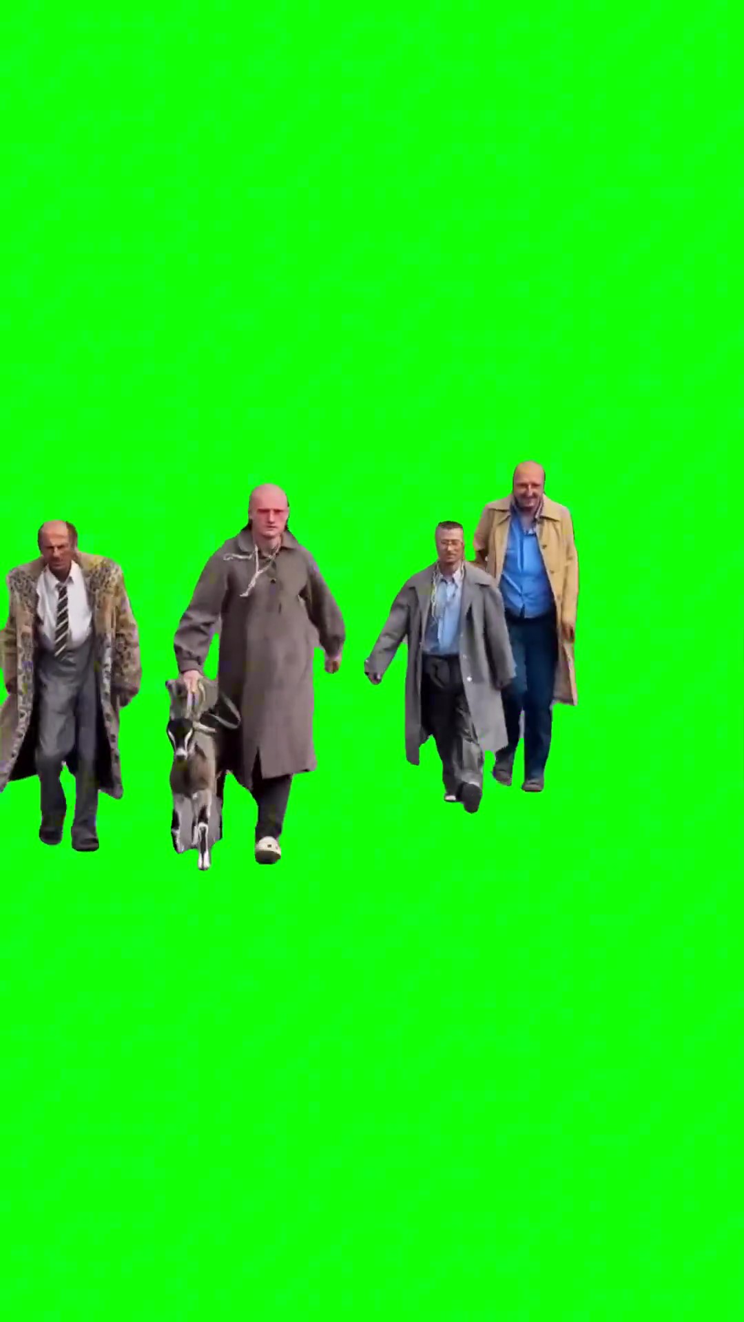 Squad Cat walk green screen