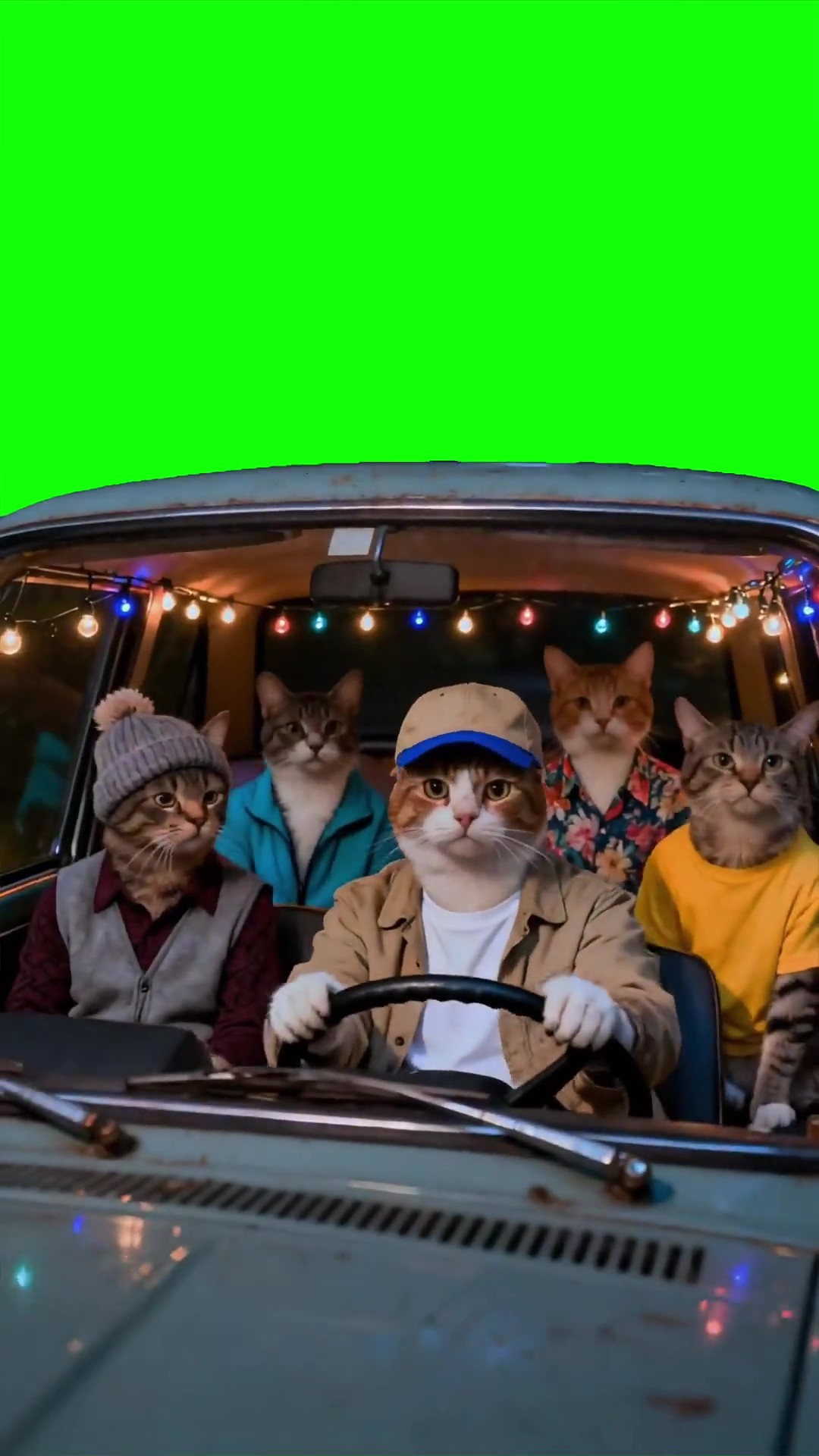 Stranger cats green screen