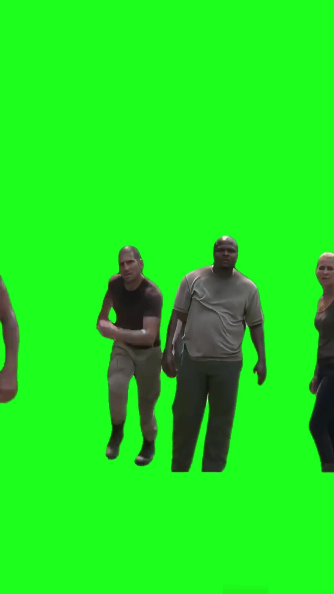 TWD what is that green screen