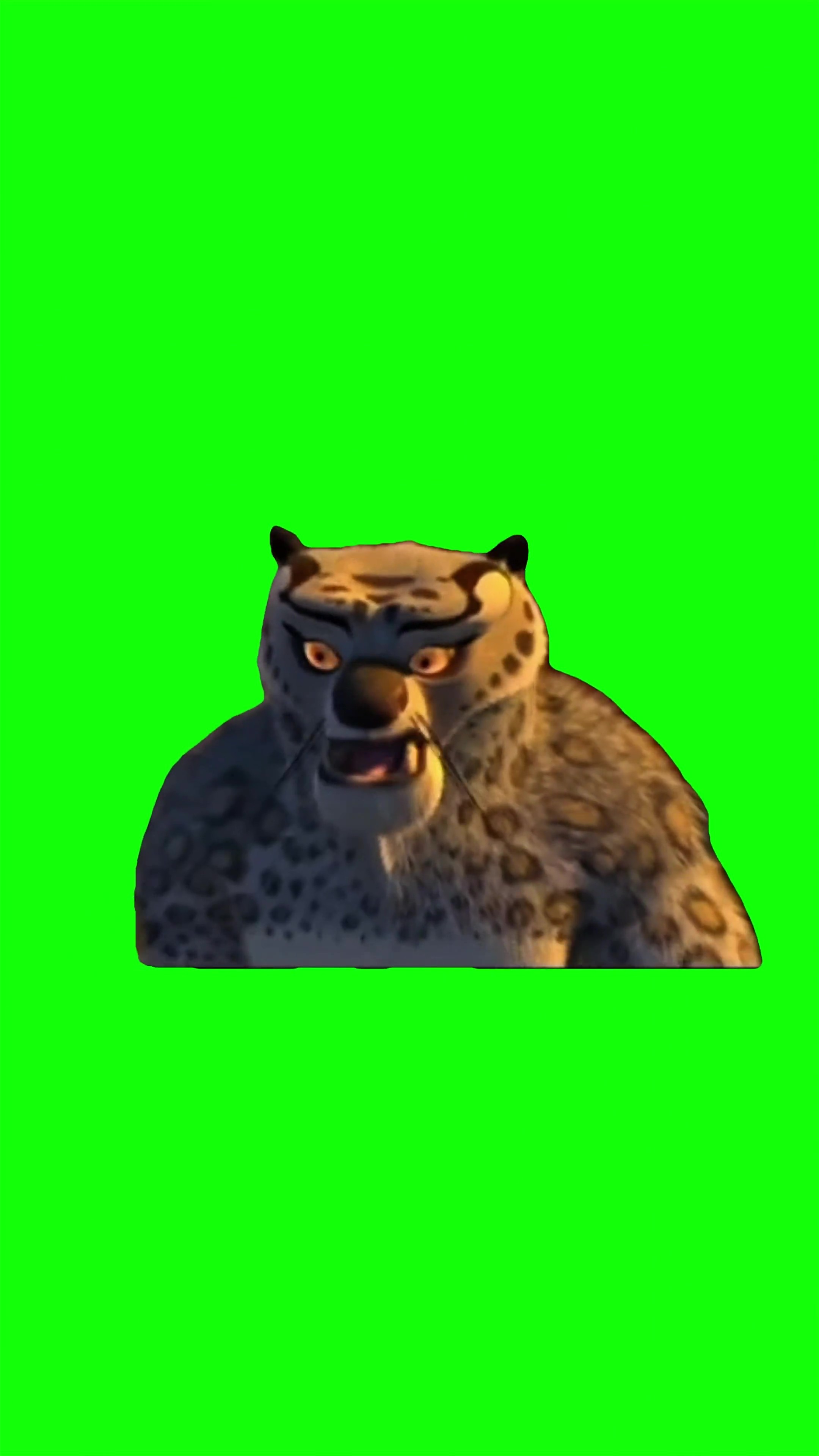 Tai Lung Confused green screen