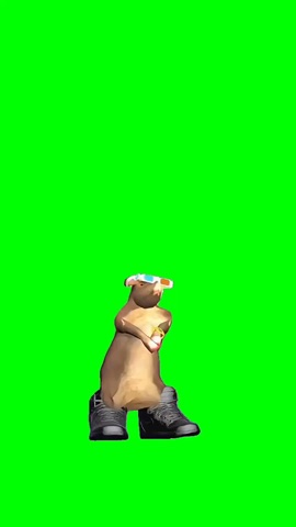 Tato Rat Dancing green screen