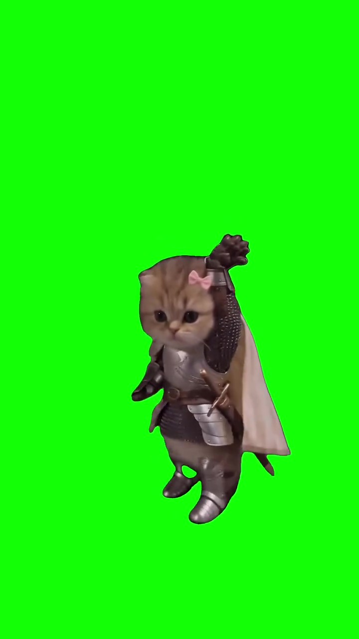 I got that feeling kittens Green Screen – Free Download & Online Editor