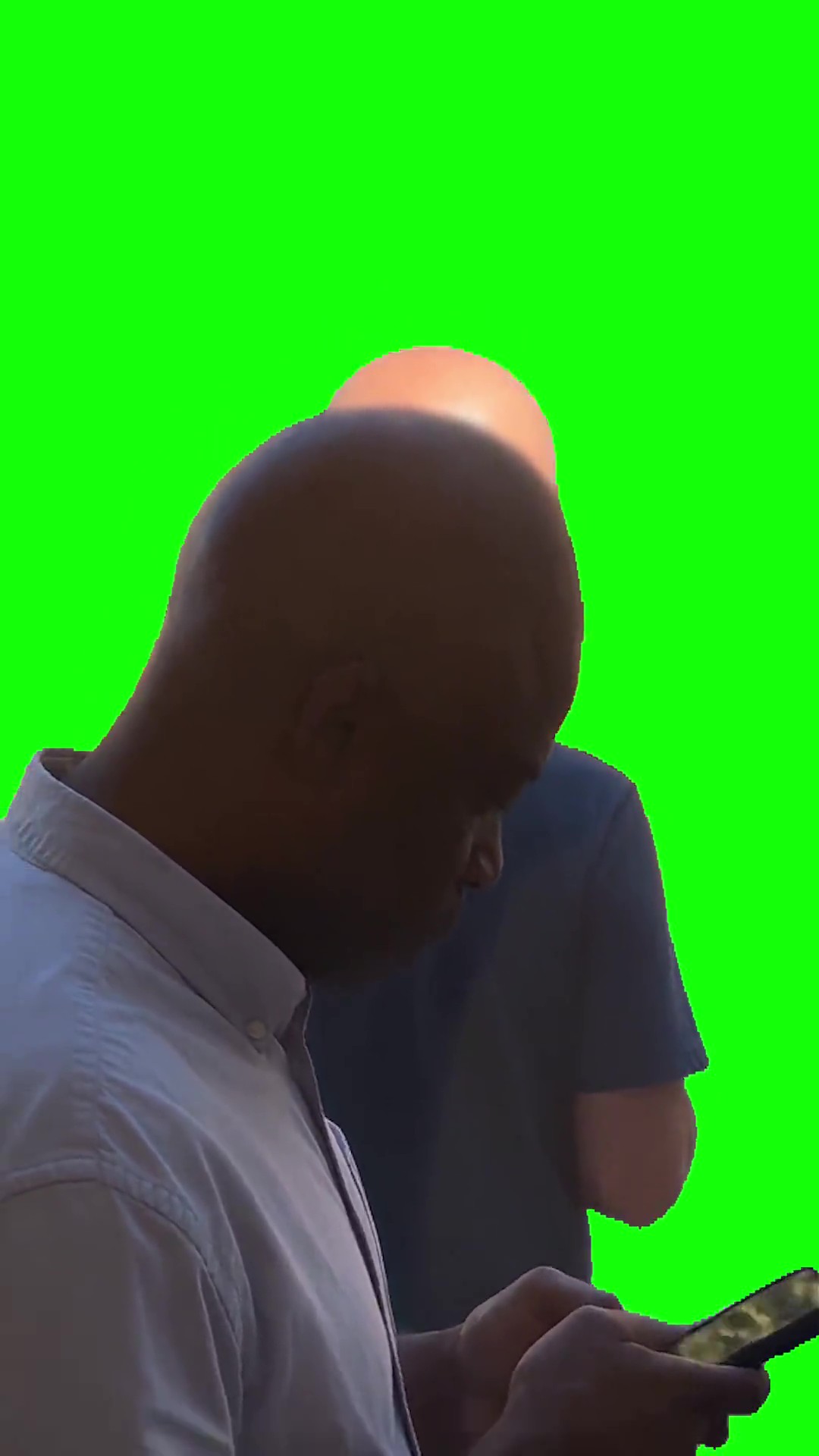 The one true eclipse green screen