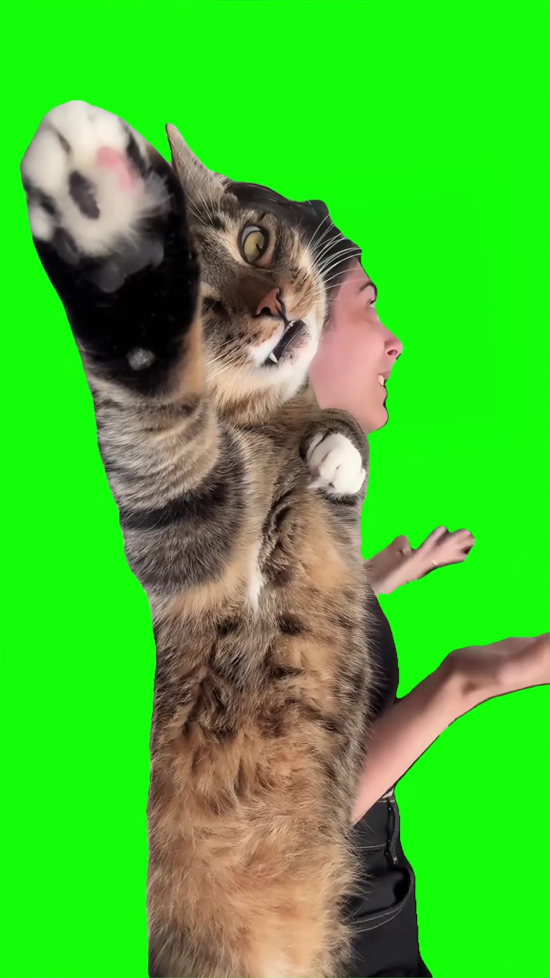 Therapy session green screen