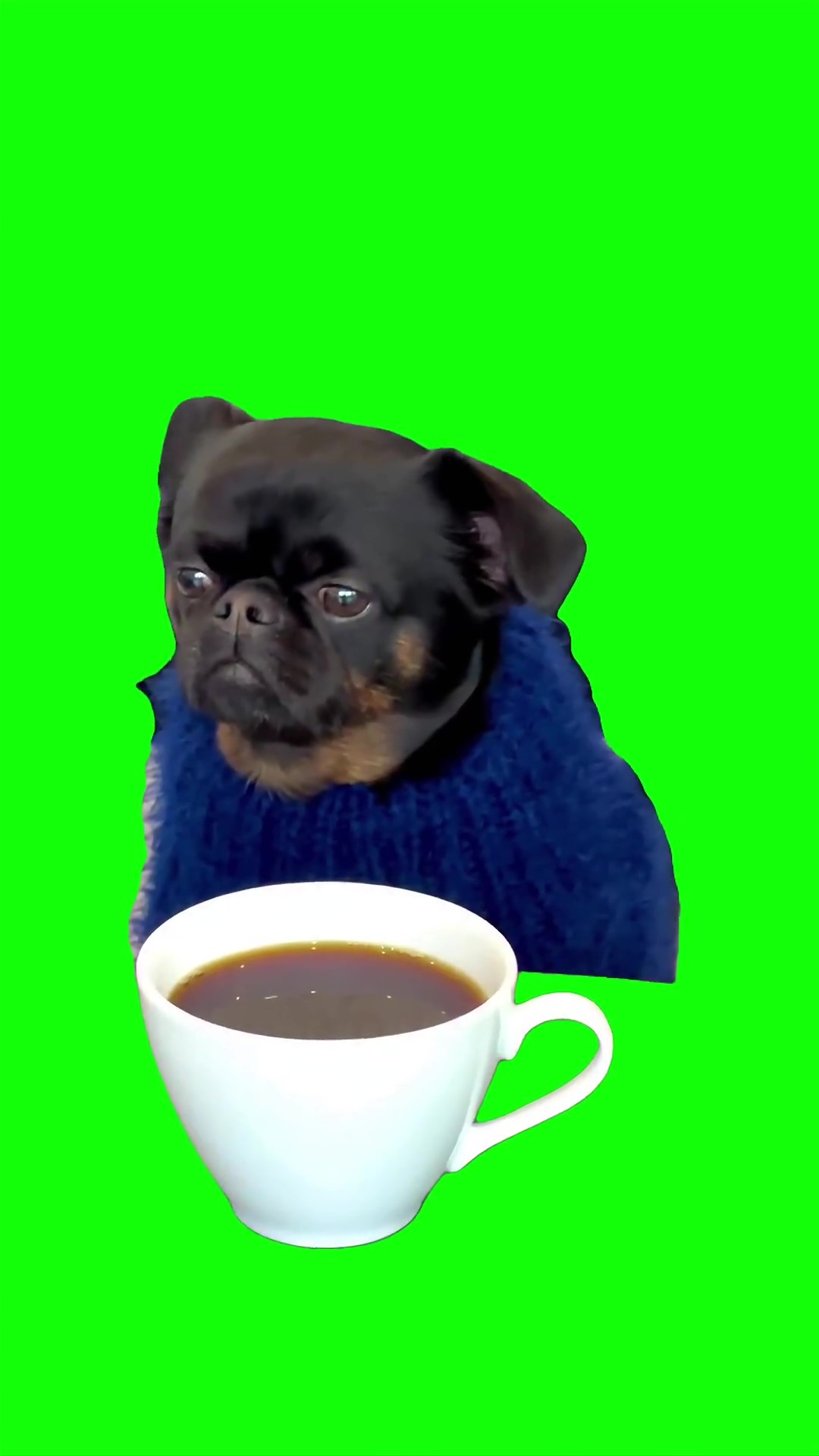 Thinking about everything and nothing green screen