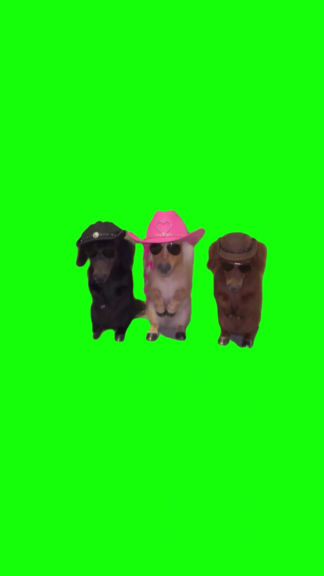 Three Dancing Ponies  green screen