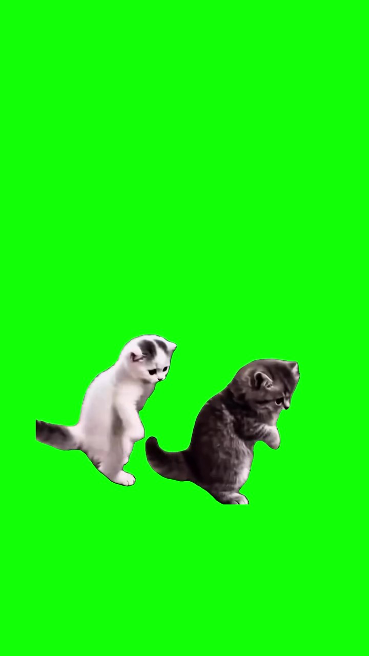 Tiki Tiki green screen