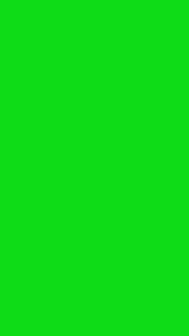 Tom Lizard Wave green screen